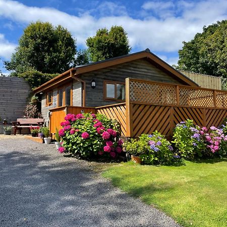 Swansea Log Cabin Pontardawe Esterno foto