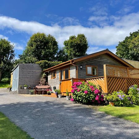 Swansea Log Cabin Pontardawe Esterno foto