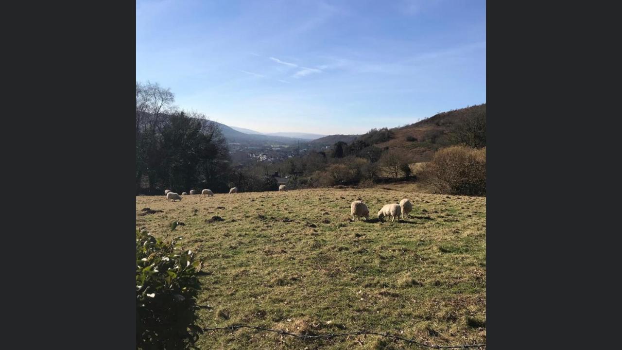 Swansea Log Cabin Pontardawe Esterno foto