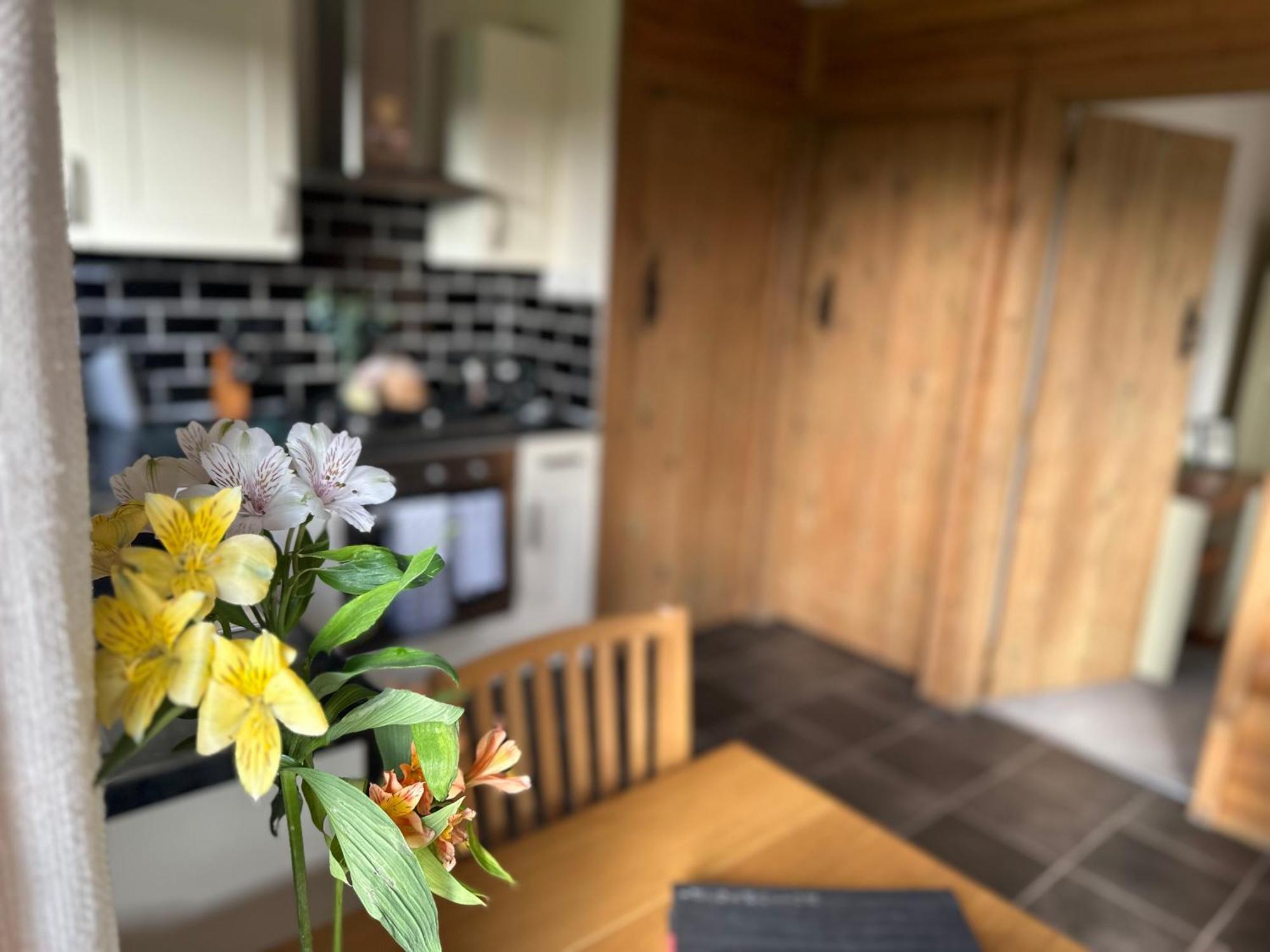 Swansea Log Cabin Pontardawe Esterno foto
