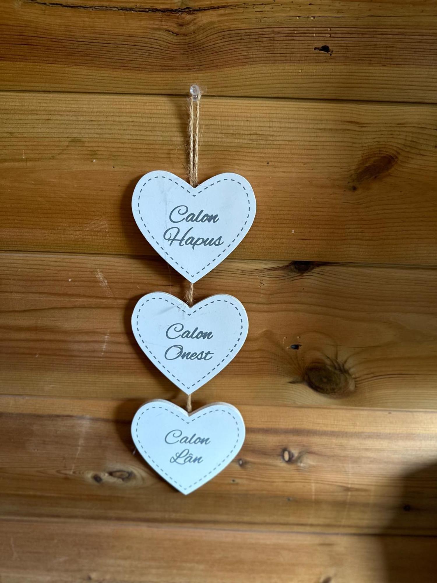 Swansea Log Cabin Pontardawe Esterno foto