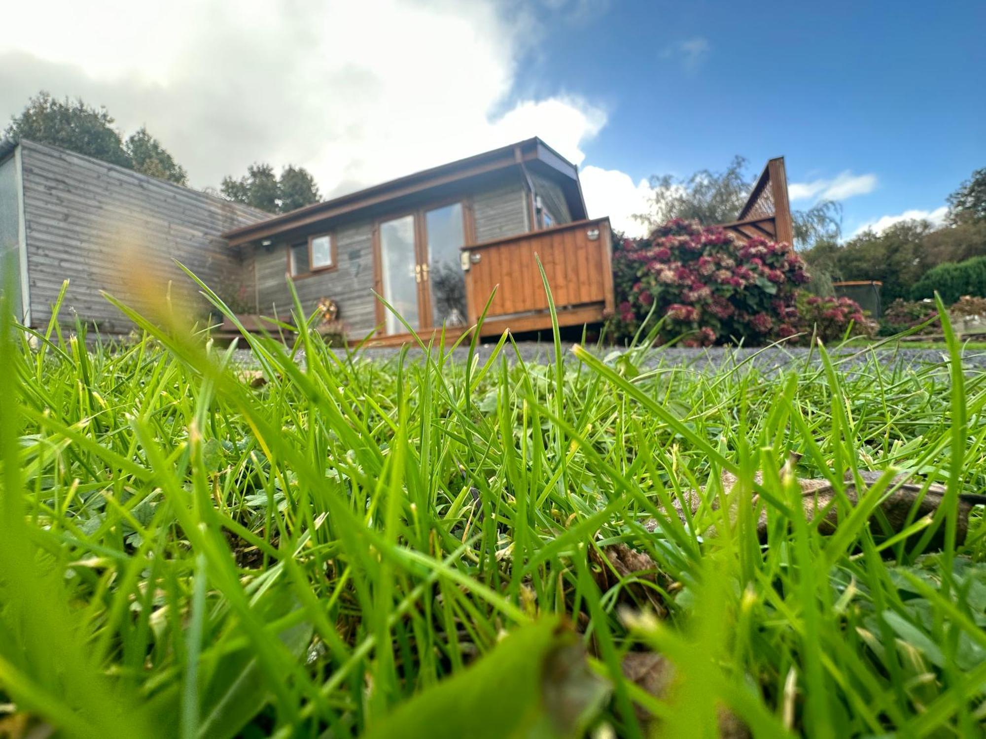 Swansea Log Cabin Pontardawe Esterno foto