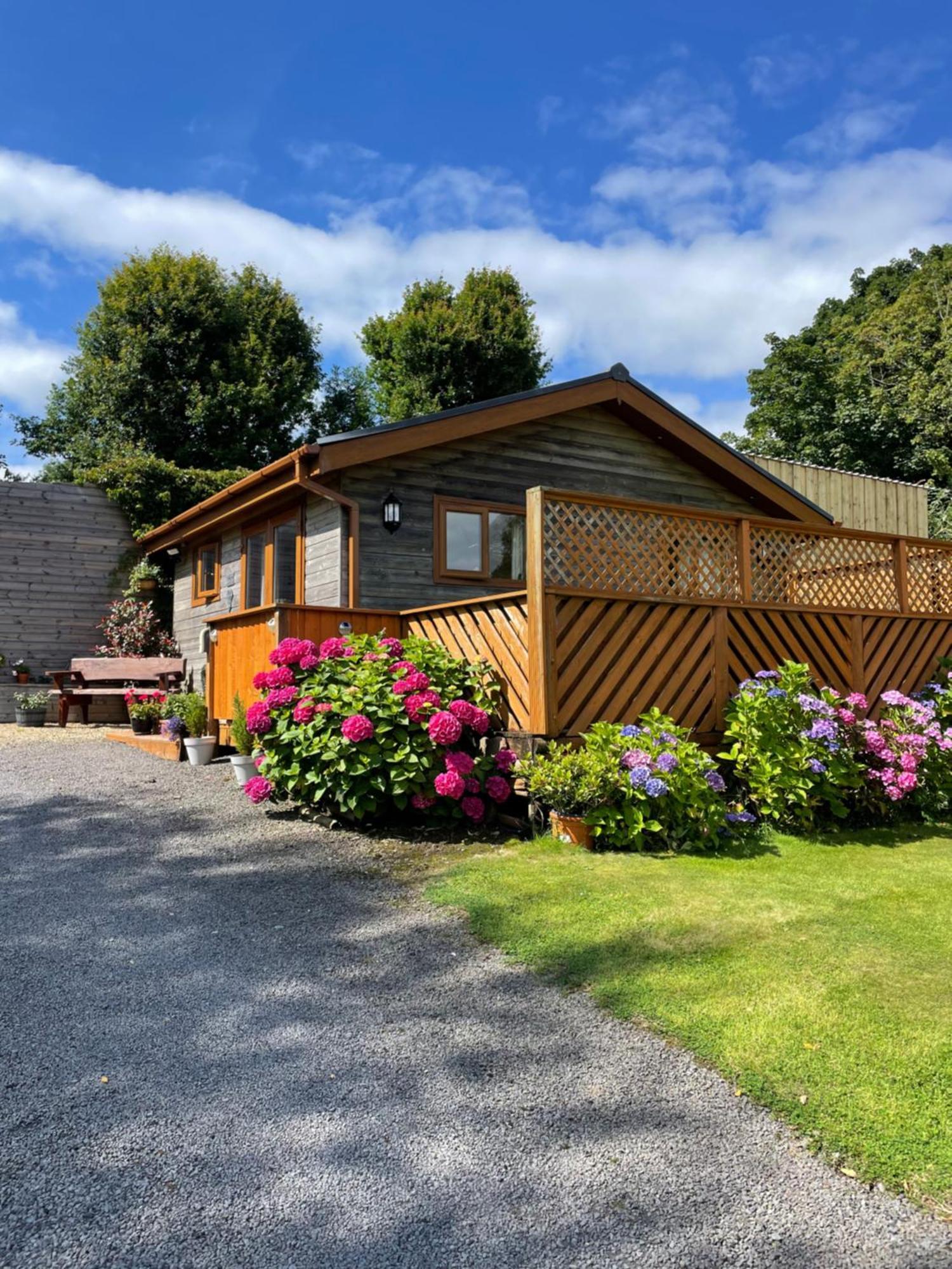Swansea Log Cabin Pontardawe Esterno foto