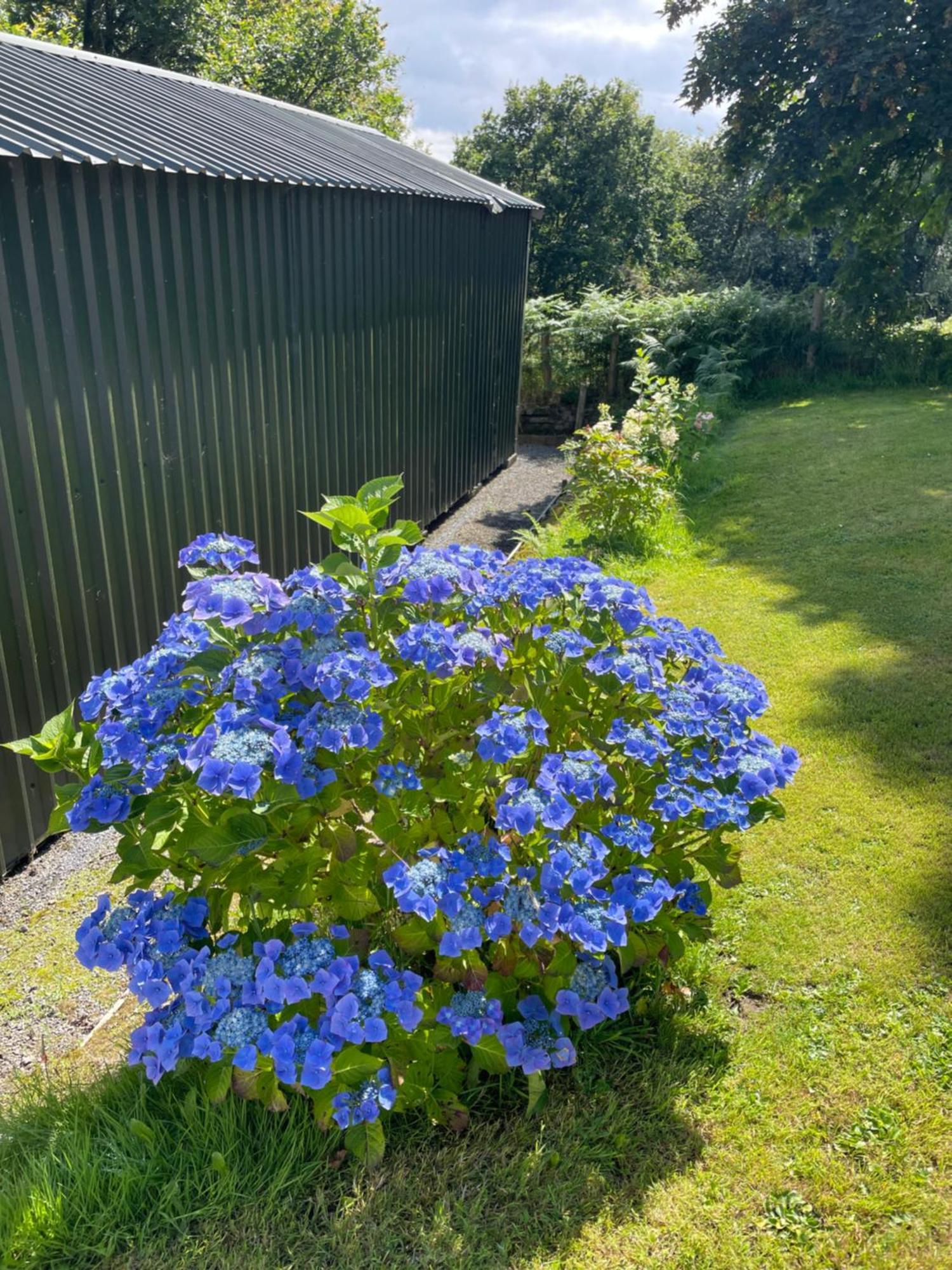 Swansea Log Cabin Pontardawe Esterno foto
