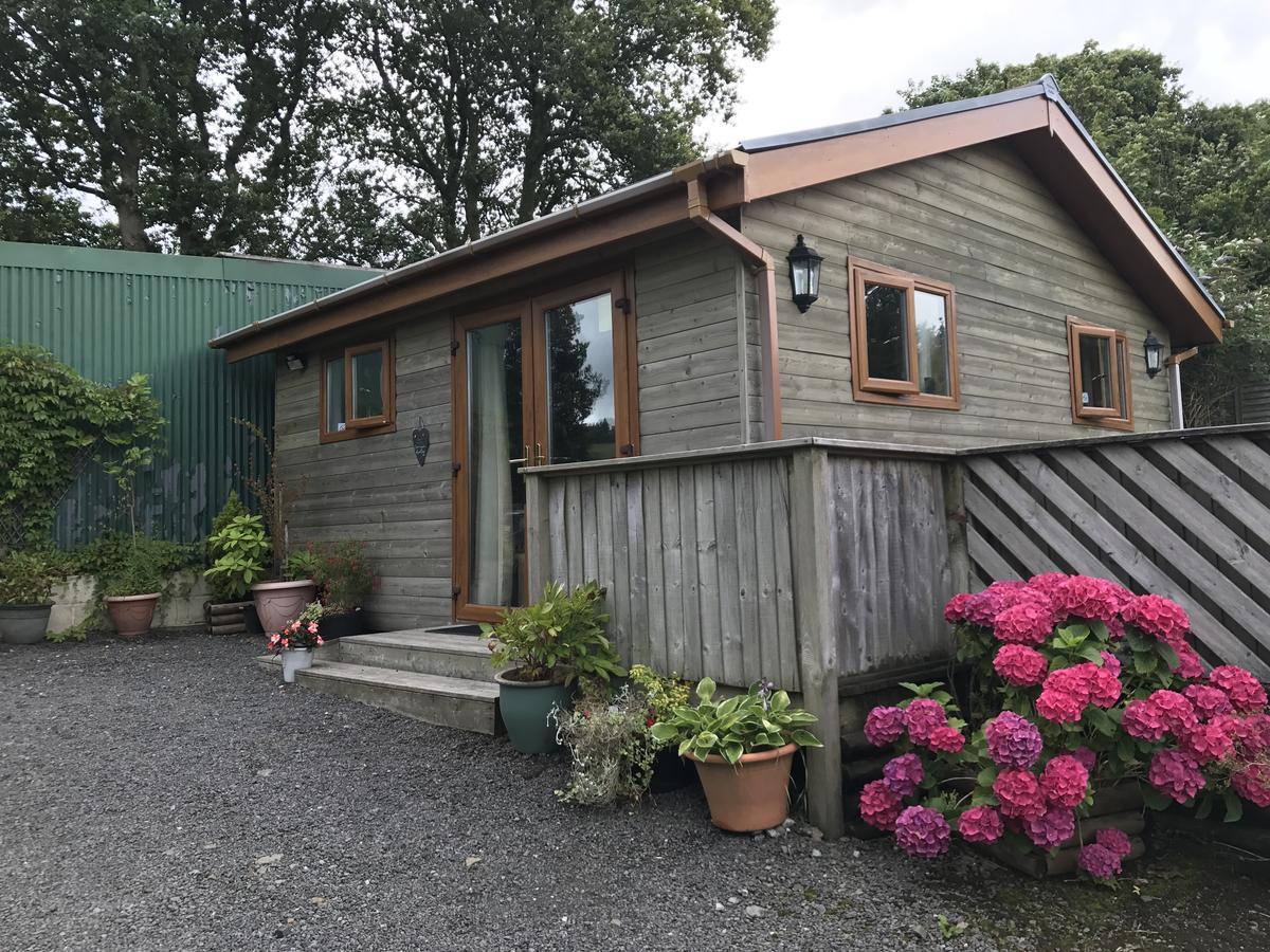 Swansea Log Cabin Pontardawe Esterno foto
