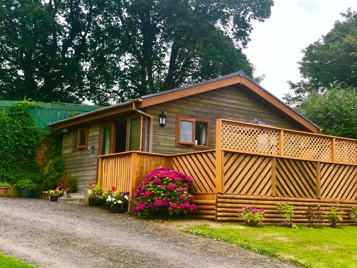 Swansea Log Cabin Pontardawe Esterno foto